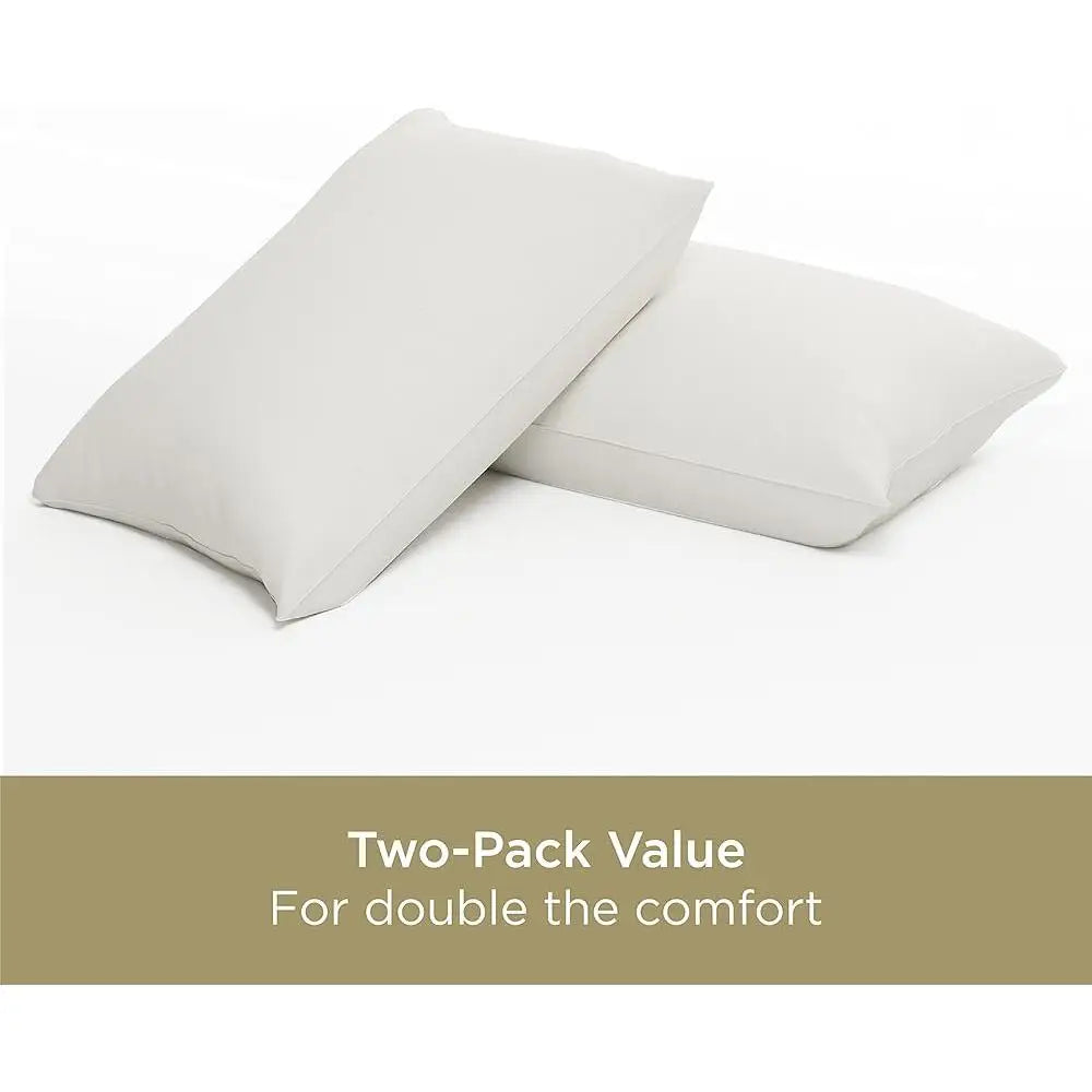 Organic Cotton Allergy Bed Pillow - 2 pack