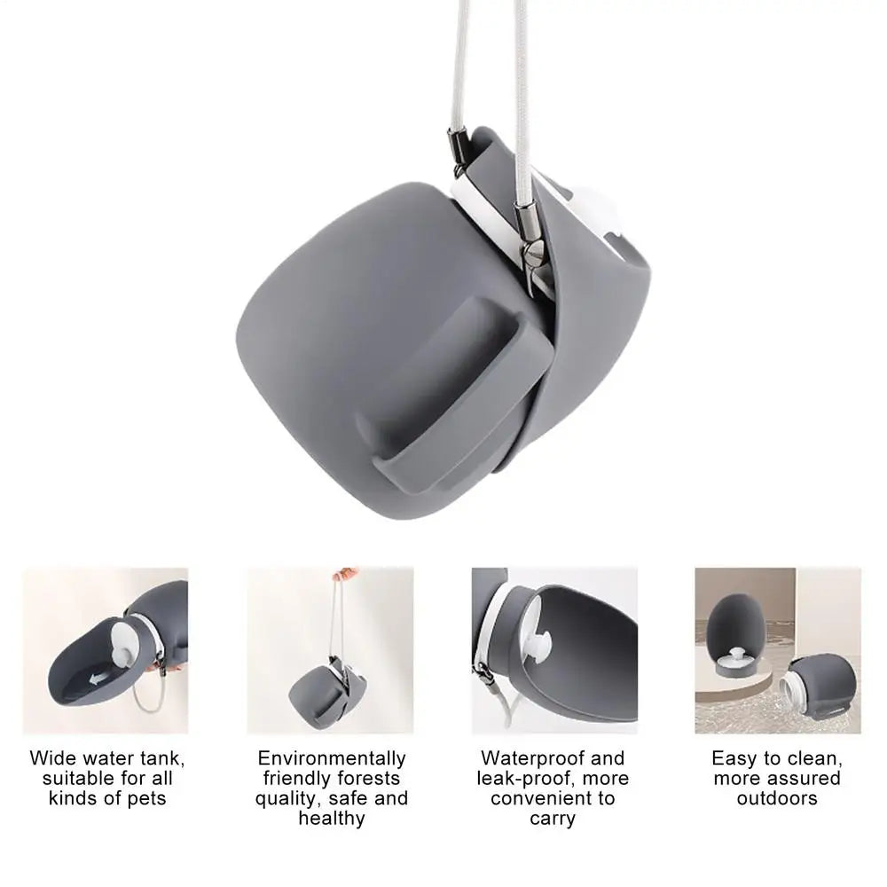 Water Bottle Solution For Pets