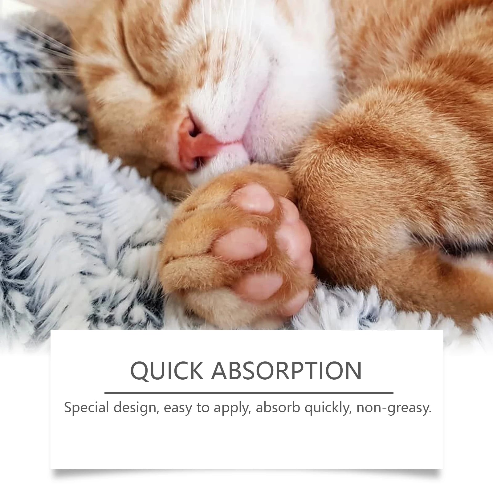Pet Paw Care Moisturizing Balm