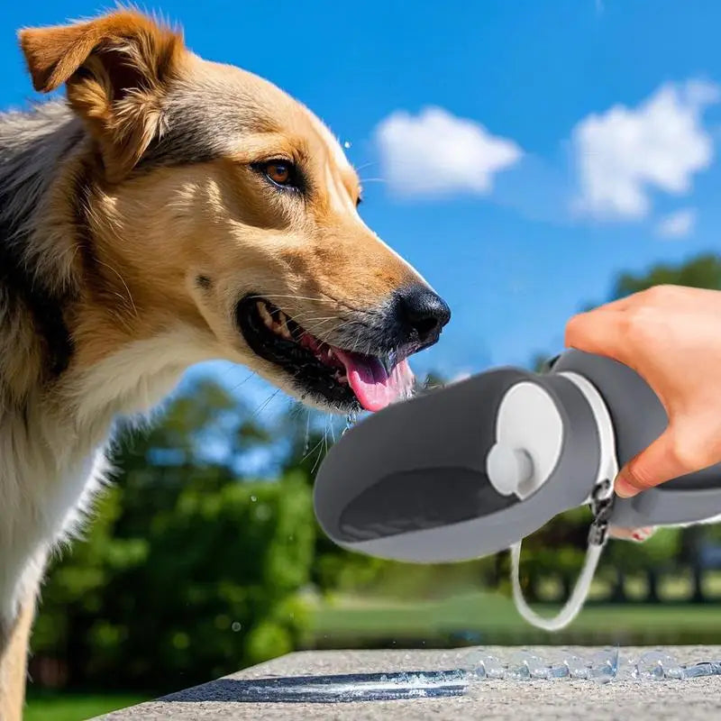 Water Bottle Solution For Pets