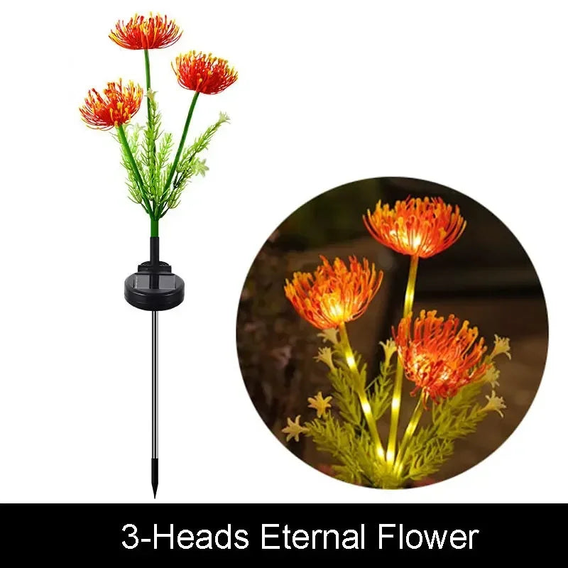 Solar Outdoor Landscape Lighting