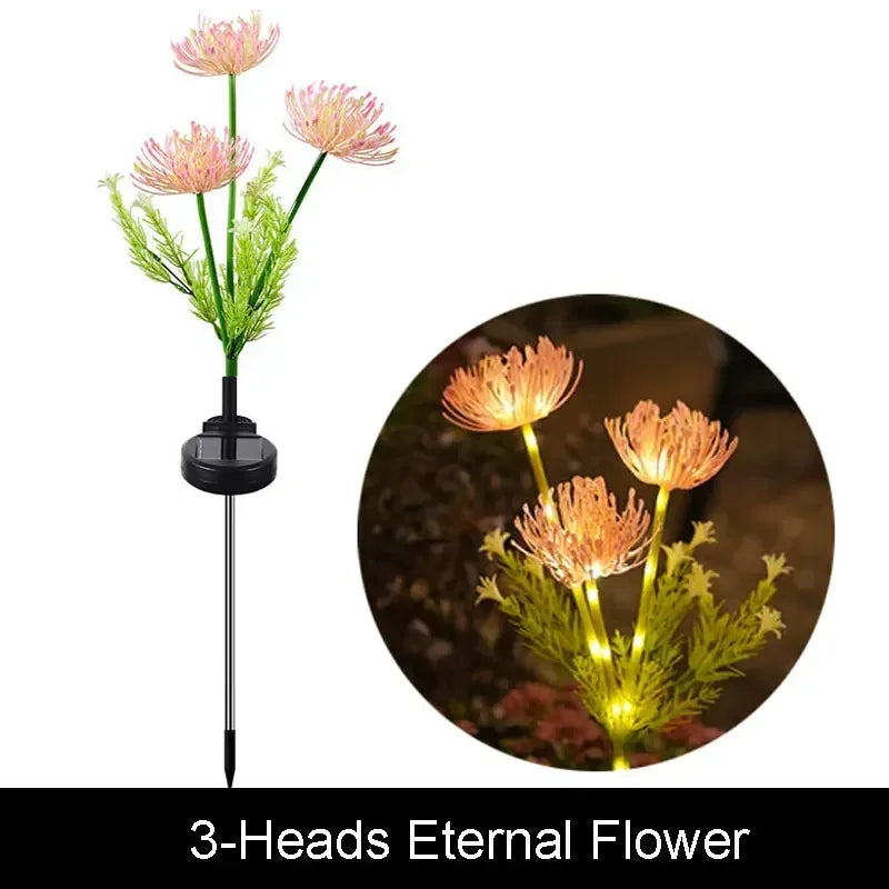 Solar Outdoor Landscape Lighting