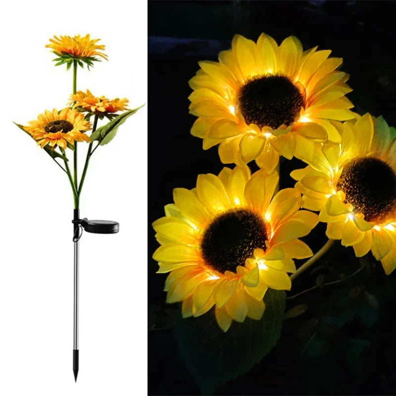 Solar Outdoor Landscape Lighting