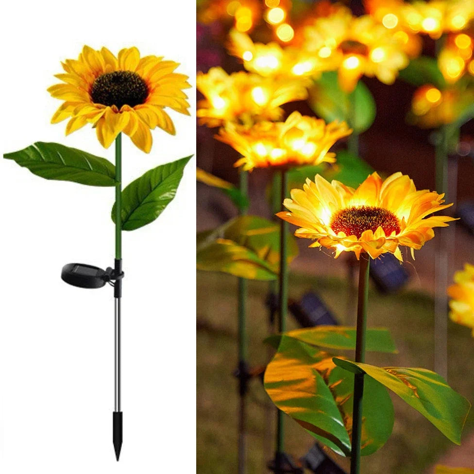 Solar Outdoor Landscape Lighting