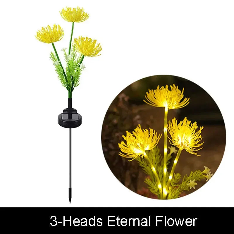 Solar Outdoor Landscape Lighting