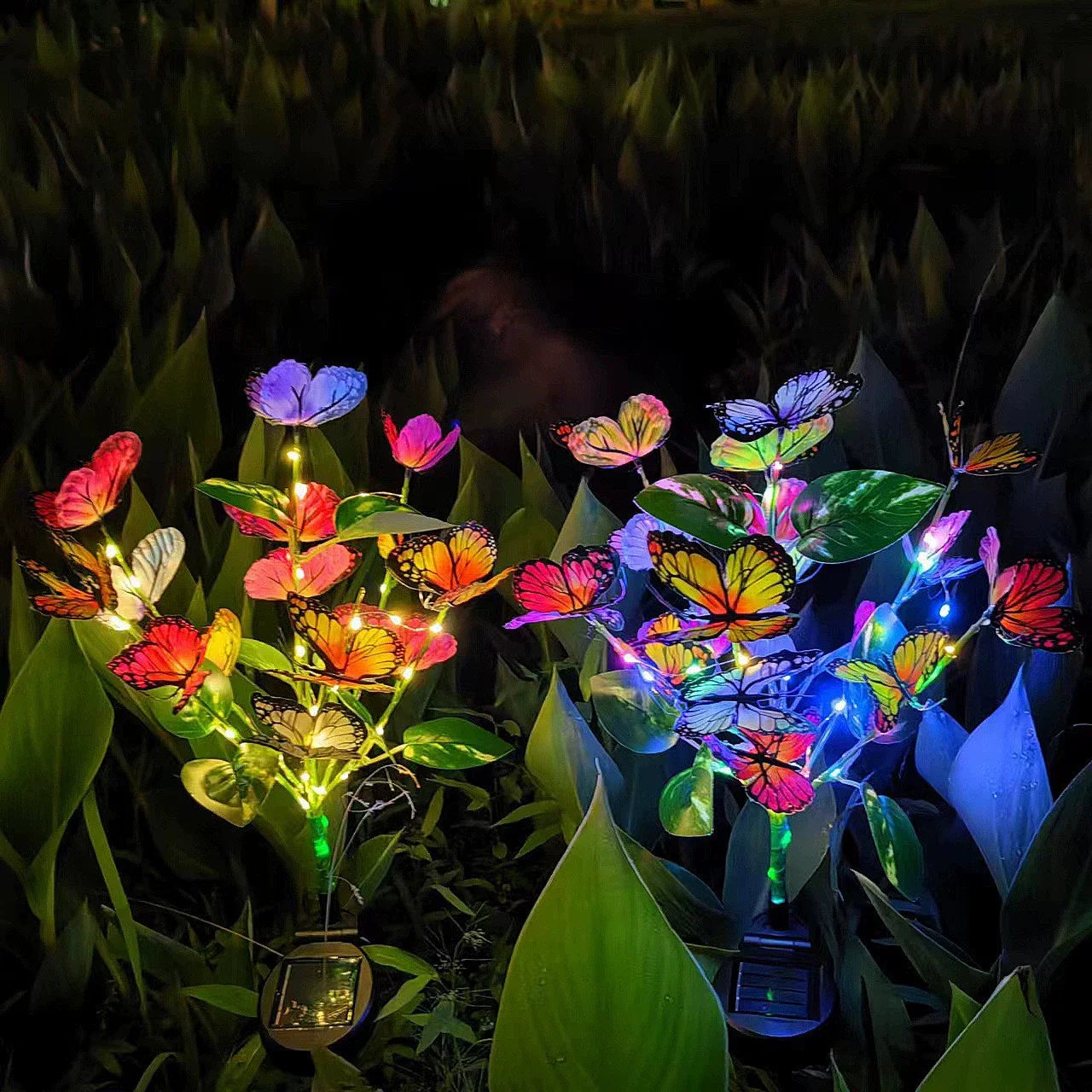 Solar Outdoor Landscape Lighting
